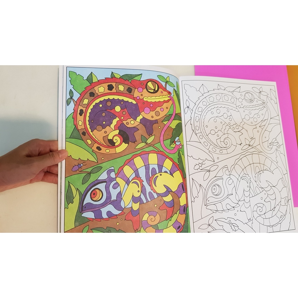Amazing copycat coloring หนังสือฝึกสมาธิ ระบายสี *textbook มือสอง