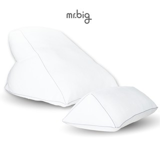 mr.big Bundle Set หมอน Gerd Pillow + Leg Pillow เซตสุดคุ้มหมอนกรดไหลย้อน