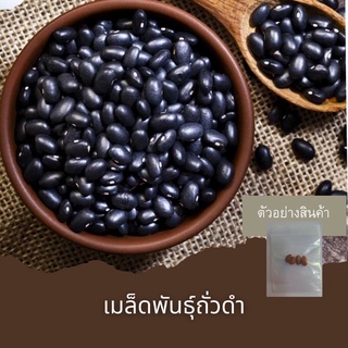 เมล็ดพันธุ์ถั่วดำ 5เมล็ด 🔺ขั้นต่ำโปรดสั่งสินค้าภายในร้าน30บาทขึ้นไปไม่รวมค่าขนส่งค่ะ