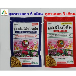 ปุ๋ยออสโมโค้ท แพ็ค 100 กรัม สูตรเสมอบำรุงต้น สูตรเร่งดอก ปุ๋ยละลายช้า ปุ๋ยแคคตัส ออสโมโค้ด จากร้าน กองดินสามเหลี่ยม