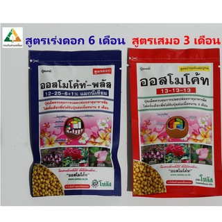 แหล่งขายและราคาปุ๋ยออสโมโค้ท แพ็ค 100 กรัม สูตรเสมอบำรุงต้น สูตรเร่งดอก ปุ๋ยละลายช้า ปุ๋ยแคคตัส ออสโมโค้ด จากร้าน กองดินสามเหลี่ยมอาจถูกใจคุณ