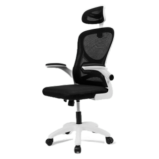 Deli เก้าอี้ทำงาน เก้าอี้สำนักงาน เก้าอี้ ทำงาน เก้าอี้สุขภาพ พยุงเอวปรับได้ พนักพิงศีรษะ2D อุปกรณ์สำนักงาน Office Chair