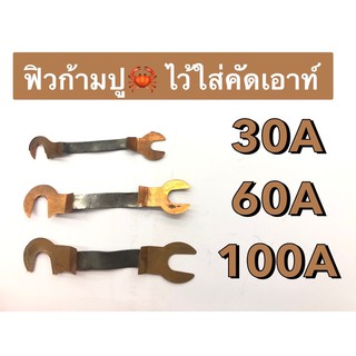 ฟิวส์ก้ามปู 30A , 60A , 100A ใส่คัดเอาท์ (6บาท)