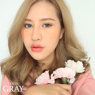 Gossy gray/brown - wink dia14.0(0.00ถึง-5.00)