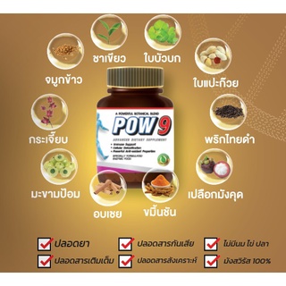 ต้องลอง Pow9 (พาวนายน์) เอ็นไซมส์รวม สารพฤกษาในสมุนไพรและผลไม้สะกัดต่างๆ