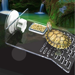 Turtle Dock ที่พักเต่า ที่พักตะพาบ อะคริลิค สำหรับเต่า,ตะพาบ สัตว์ครึ่งบกครึ่ีงน้ำ ติดข้างกระจก Turtle Pier