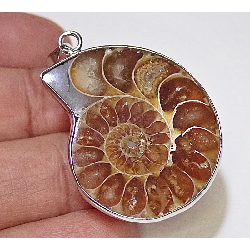 จริง Ammonite Fossil Shell จี้หินธรรมชาติ 04
