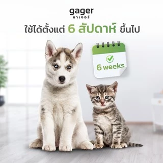 Gager (กาเจอร์) โลชั่นเช็ดหูแมว โลชั่นเช็ดหูหมา โลชั่นทำความสะอาดหู ช่วยลดกลิ่น ใช้ได้ทั้งแมวและหมา (50ml.)