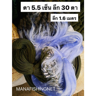 #มองดักปลา #ตาข่ายดักปลา‼️ แบบตาครึ่ง 🅰️ ตา 3.5 เซ็น / 4.5 เซ็น / 5.5 เซ็น / 6.5 เซ็น