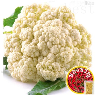 31.Cauliflower White Seeds 50pcs Free Normal Mail in SGดอกไม้/หมวก/บ้านและสวน/seeds/มะละกอ/กระโปรง/ผักชี/ผู้ชาย/พาสต้า/ส