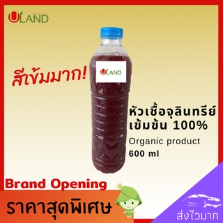 Uland จุลินทรีย์สังเคราะห์แสง หัวเชื้อ 600 มิลลิลิตร จุลินทรีย์แสง ขยายได้ 15 ขวด น้ำใส พืชดก เพิ่มรวงข้าว ไก่ปลาแข็งแรง