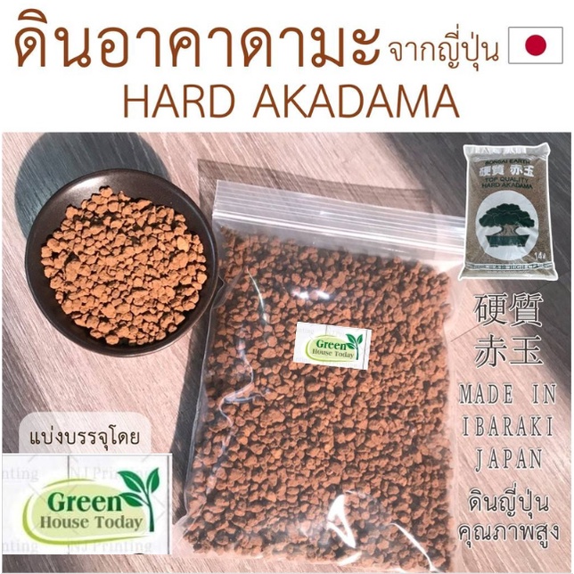 ถุงละ 1 กก. ดินอะคาดามะ ดินญี่ปุ่น Akadama ส่วนผสมดินปลูกแคคตัส&ไม้อวบน้ำ