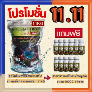 โพลิเมอร์ 11.11 โพลิเมอร์พีดี100 ขนาดเม็ดเล็กละเอียด 11กก แถมฟรี สารเร่งรากพญาลิง ขนาด 100ซีซี 11 ขวด ใช้กับพืชทุกชนิด