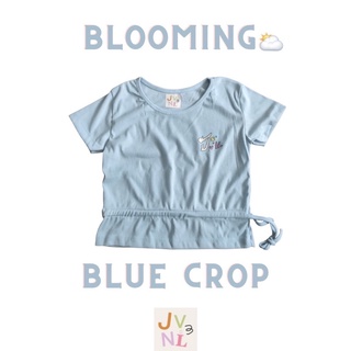 blooming blue crop☁️