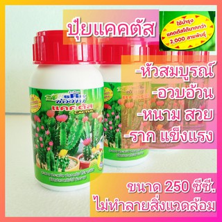 ปุ๋ยแคคตัส ปุ๋ยกระบองเพชร ขนาด 250 ซีซี ตรา ช่องาม Cactus ปุ๋ยน้ำ ปุ๋ยแคตตัส ปุ๋ยน้ำแคตตัส ปุ๋ยน้ำแคคตัส