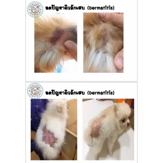 DOGANIC ครีมสมุนไพรทาผิวสัตว์เลี้ยง PREMIUM PET CREAM (30g)