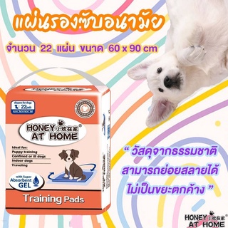 แผ่นรองซับสำหรับสุนัขและแมว by Honey At Home ไซส์ L