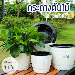 🔥 ลดราคา กระถางปลูกผัก 🌱 กระถางต้นไม้รดน้ำอัตโนมัติ อุปกรณ์ปลูกผัก กระถางต้นไม้สีขาว กระถางสีขาว กระถางรดน้ำ สวย