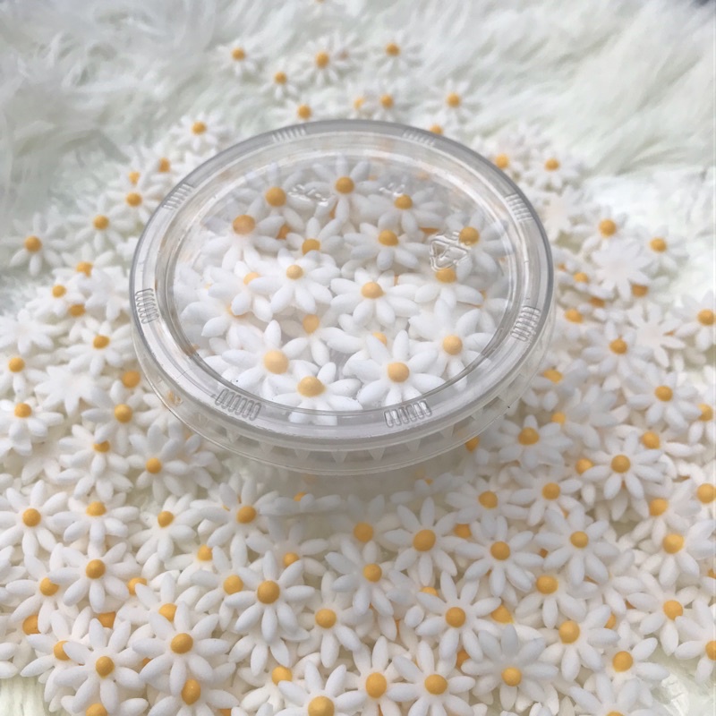 ดอกไม้น้ำตาลเดซี่ DAISY ดอกไม้แห่งรัก