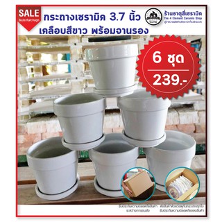 กระถางต้นไม้ เนื้อเซรามิค 3.7 นิ้ว เคลือบสีขาวมัน พร้อมจานรอง 6 ชุดเพียง 239.-