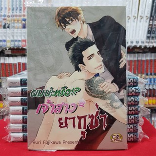 ผมน่ะหรือ เจ้าสาวยากูซ่า เล่มเดียวจบ หนังสือการ์ตูนวาย การ์ตูนวาย มือหนึ่ง