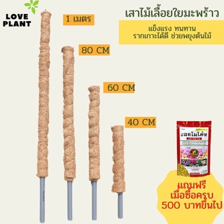 เสาใยมะพร้าว เสาไม้เลื้อย หลักไม้เลื้อย หลักต้นไม้ ขนาด 40-100 Cm. สวย แข็งแรง ทนทาน รากเกาะได้ดี ช่วยพยุงต้นไม้