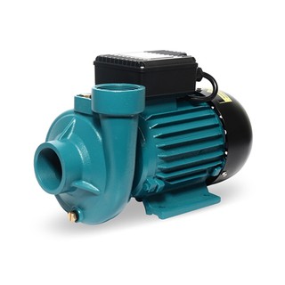 POLO (โปโล) 2DKM-16 ปั๊มหอยโข่ง 1.5 HP 2”(P041-0690)