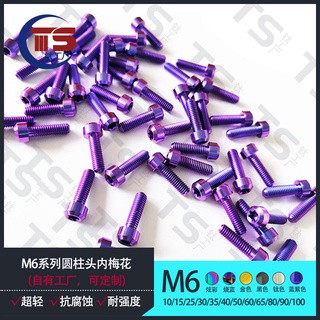 พร้อมส่ง สกรูไทเทเนียมอัลลอย M6 M6X10 15 25 30 35 40 50 55 60 65 80 90 100 มม.