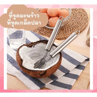 มีดขูดมะพร้าว ที่ขูดมะพร้าว ที่ขูดเกล็ดปลา ที่ขูดอเนกประสงค์ สเเตนเลส  ทำความสะอาดง่ายไม่เป็นเชื้อรา พร้อมส่ง 🌟 ✨