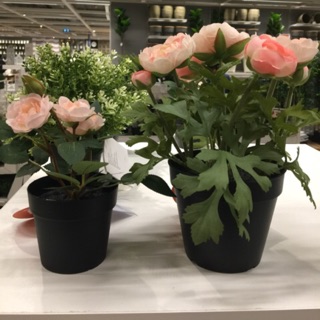 ไม้ประดิษฐ์ Fejka ดอกกุหลาบ ไม้ประดิษฐ์ในกระถาง  IKEA