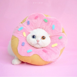 purrpet คอลล่ากันเลีย คอลล่าโดนัท