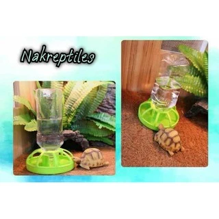 ถาดน้ำเต่าบกสีเขียว ใส่น้ำอัตโนมัติ 250ML