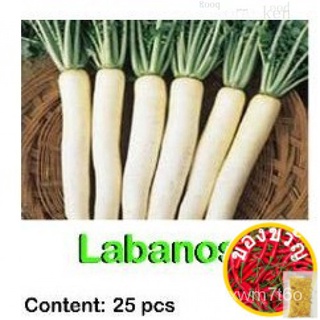 ┋ ⊕☎Labanos Vegetable Seeds, P25/pack, high quality and high germination rate.25กางเกงต่อแพ็ค/คื่นฉ่าย/เมล็ด/ผู้ชาย/ผักก