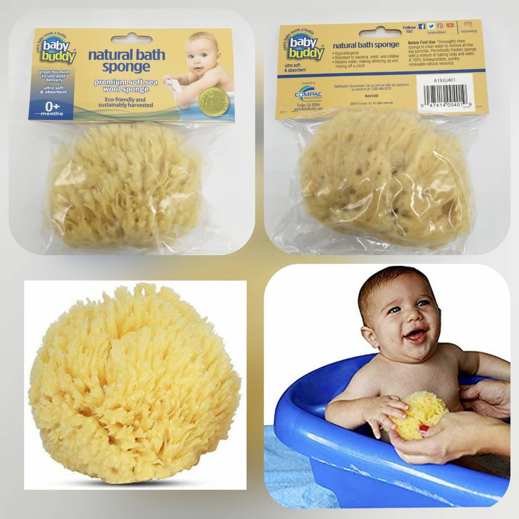 Baby Buddyฟองน้ำธรรมชาติ Natural Bath Sponge Premium Sea Wool Shopee