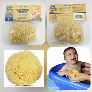 Baby Buddy-ฟองน้ำธรรมชาติ Natural Bath Sponge Premium Sea Wool