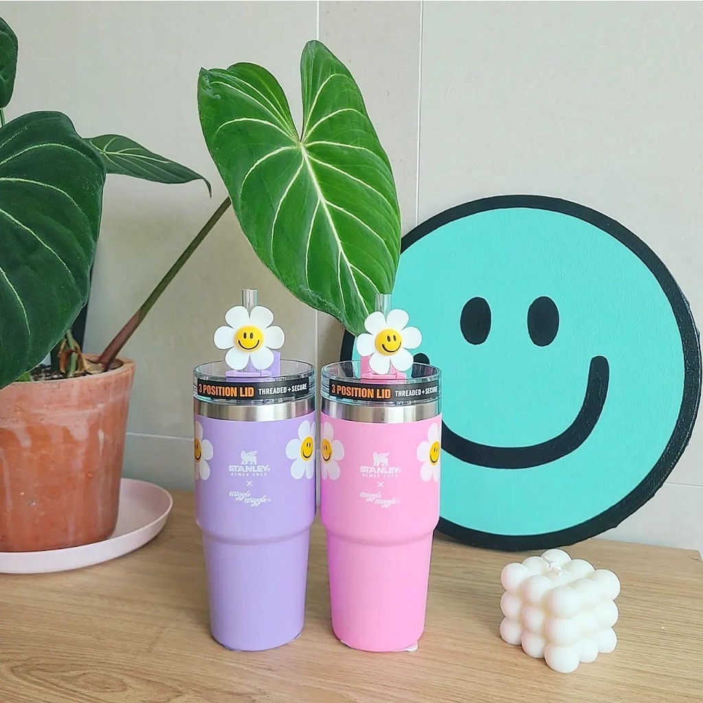 [DiaryTools] พร้อมส่ง❗️Stanley x Wiggle Wiggle Quencher Tumbler แก้วเก็บความเย็น