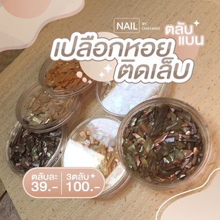 เปลือกหอยตกแต่งเล็บ (ตลับแบน)