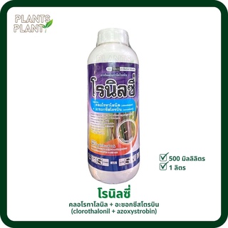 โรนิลซี่ 500ซีซี คลอโรทาโลนิล+อะซอกซีสโตรบิน 50% W/V SC (clorothalonil+azoxystrobin) สารป้องกันกำจัดโรคพืช