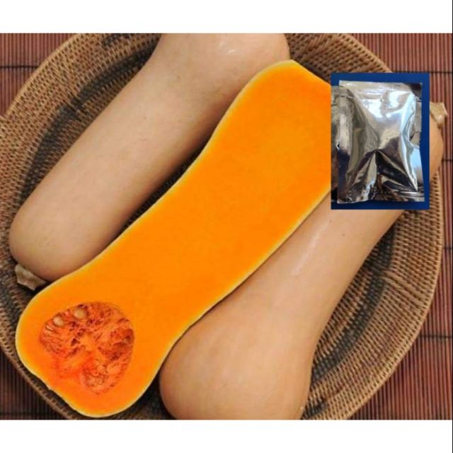 เมล็ดพันธุ์ ฟักทอง บัตเตอร์นัท-Waltham Butternut Squash