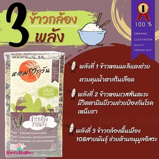 ข้าวกล้องสามพลัง ข้าวกล้องสามพลัง ข้าวหอมมะลิแดง ข้าวกล้อง108สายพันธุ์ ข้าวหอมเวสสันตะระ ข้าว ข้าวสาร เพื่อสุขภาพ ไร้สาร