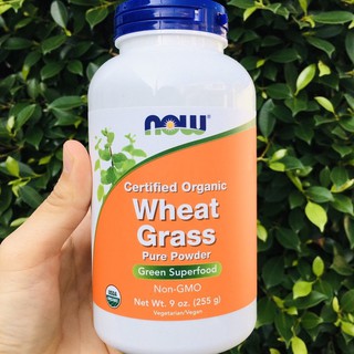 ผงบริสุทธิ์ต้นอ่อนข้าวสาลี Pure Powder Certified Organic Wheat Grass 255g (Now Foods®)