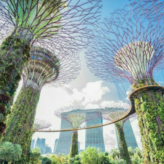 บัตร gardens by the bay (OCBC SKYWAY) @สิงคโปร์