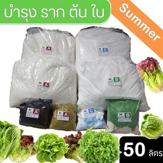 ปุ๋ย ABC Hydroponics Summer สำหรับผักไฮโดรโปนิกส์ ชุดทนร้อน ชนิดแห้ง ชุด 50 ลิตร ( A 50L ,B 50L และ C 50L) สูตรทานใบ