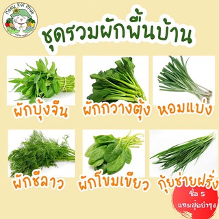 เมล็ดพันธุ์ ชุดผักพื้นบ้าน ผัก ปลูกง่าย โตไว /ผักบุ้งจีน/ผักกวางตุ้ง/หอมแบ่ง/ผักซีลาว/ผักโขม/กุยช่ายฝรั่ง พร้อมส่ง ขายดี