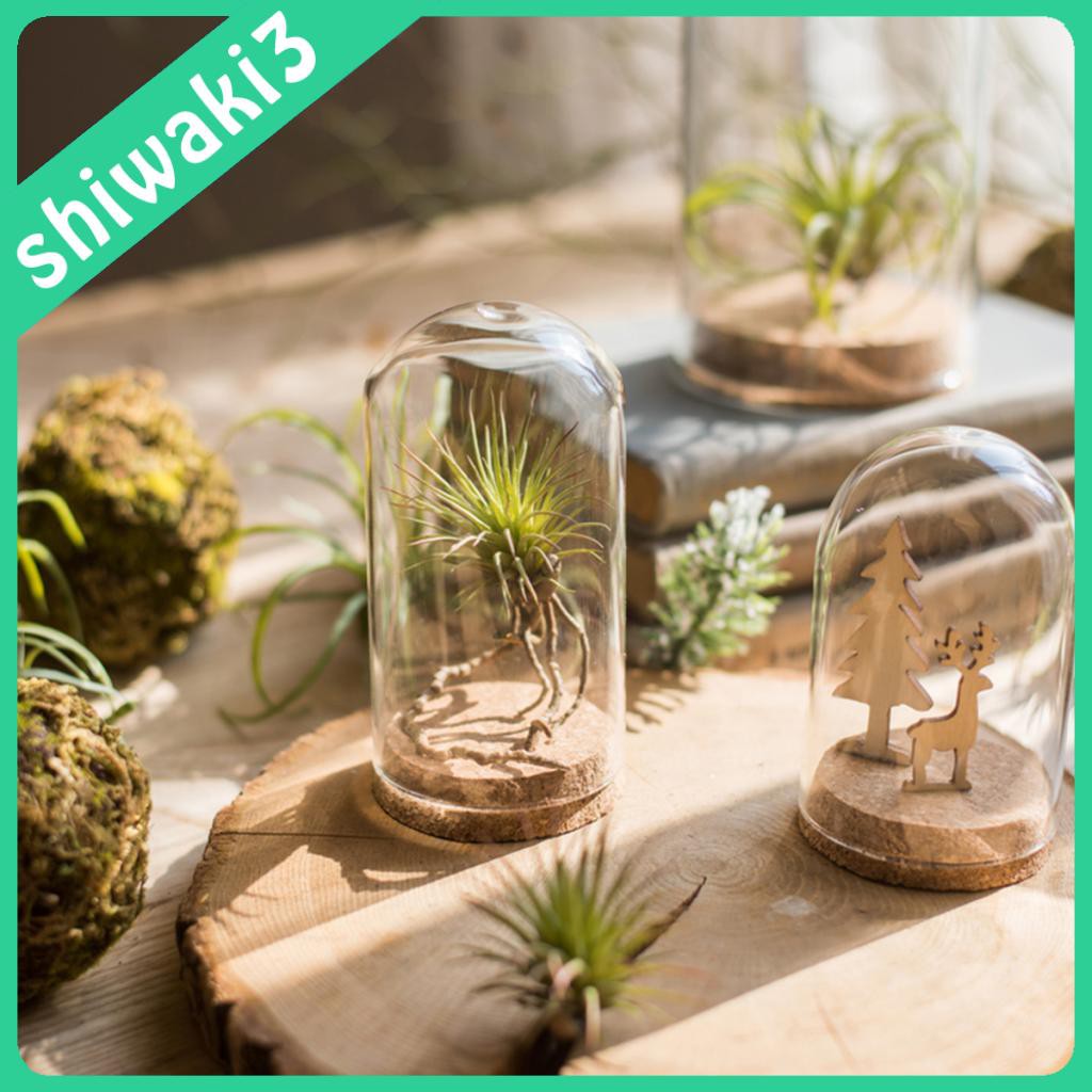 Garden Decorations 108 บาท ( Shiwaki 3 ) ขวดโหลแก้วมีฝาปิดสําหรับตกแต่งสวน Home & Living