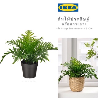 💥สินค้ามาใหม่💥IKEA_FEJKA เฟคก้า ต้นไม้ประดิษฐ์ ต้นไม้ปลอม ไม้ประดิษฐ์ในกระถาง 9ซม.