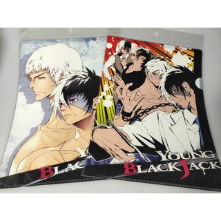 แฟ้มอนิเมะ  A4   Young Black Jack