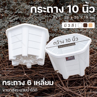 กระถางปลูกต้นไม้ กระถางหกเหลี่ยม ขนาด 10 นิ้ว (PPP899) มี 3 สี ขาว/น้ำตาล/ชานม กระถางพลาสติก ลายไม้ ระบายน้ำได้ดี