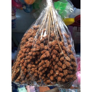 อาหารนกมิลเลตสเปรย์แดงแบบพวง บรรจุถุงละ 1/2 กิโล