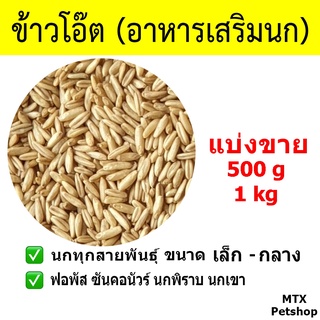 ข้าวโอ๊ต // ธัญพืชเสริม สำหรับนก